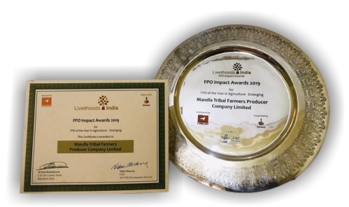 Mandla FPO Award