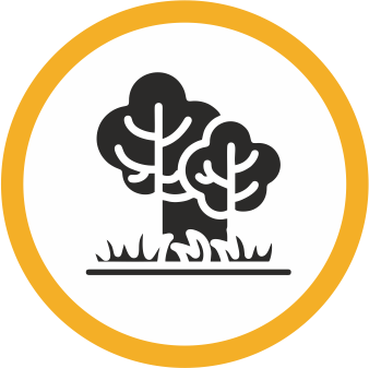 Agroforestry Icon
