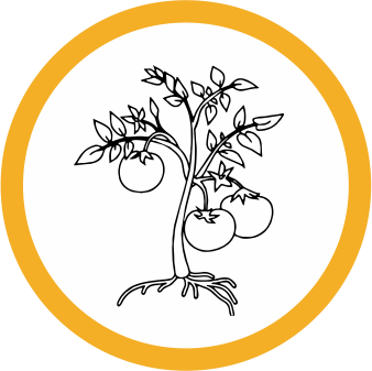 Vegetable Icon